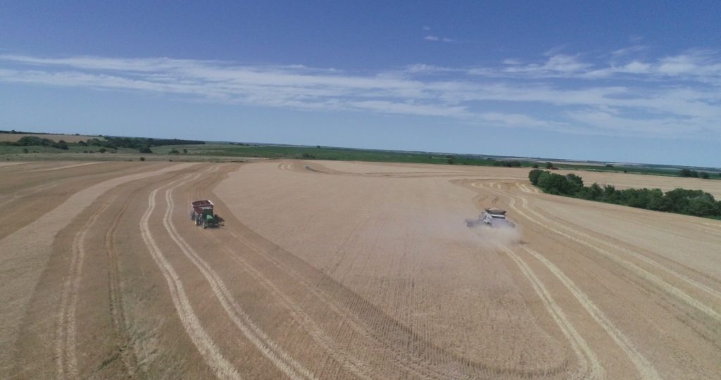 two tractors yielding wheat